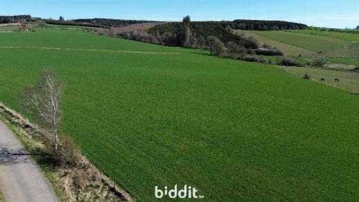 Tweede alternatieve foto van het pand