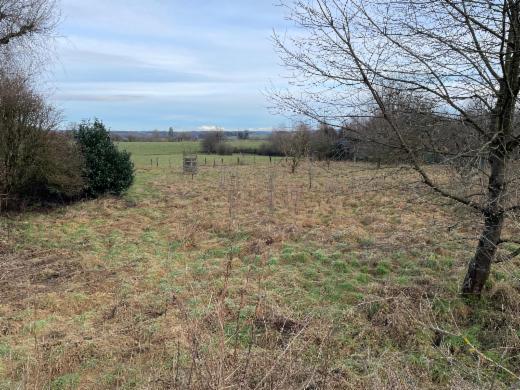 Eerste alternatieve foto van het pand