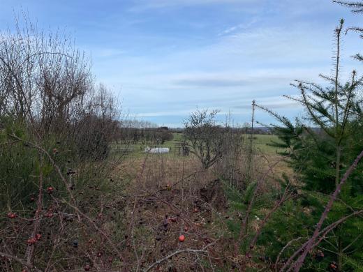 Eerste alternatieve foto van het pand