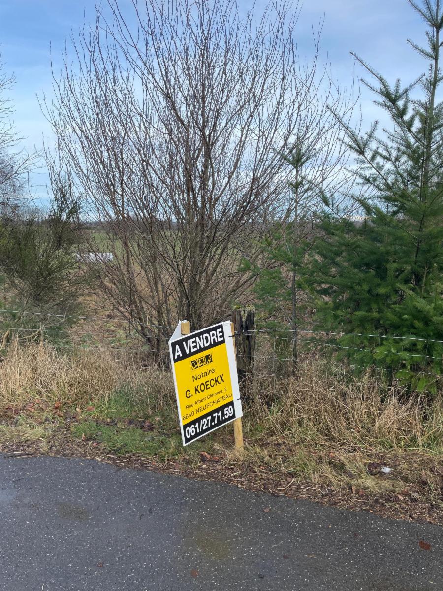 Presentatiebeeld van het pand n° 291758