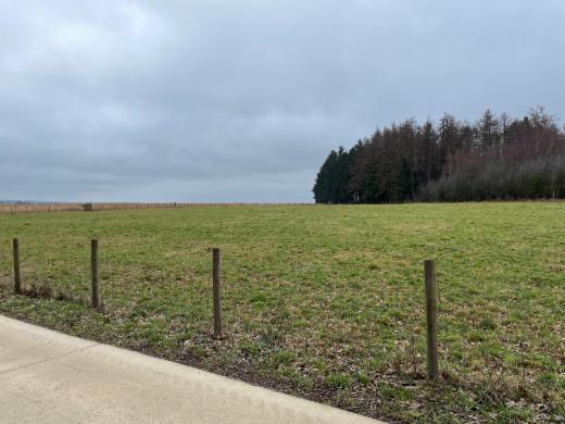 Eerste alternatieve foto van het pand