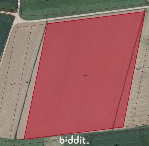 Presentatiebeeld van het pand n° 298779