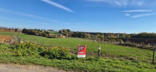Presentatiebeeld van het pand n° 303819