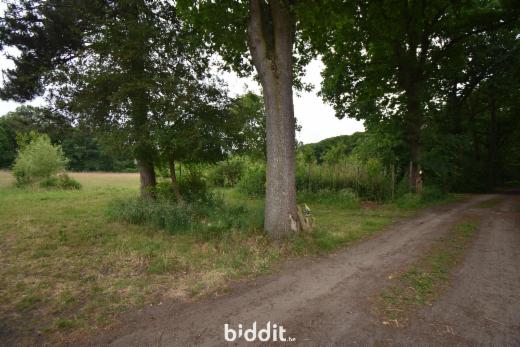 Derde alternatieve foto van het pand