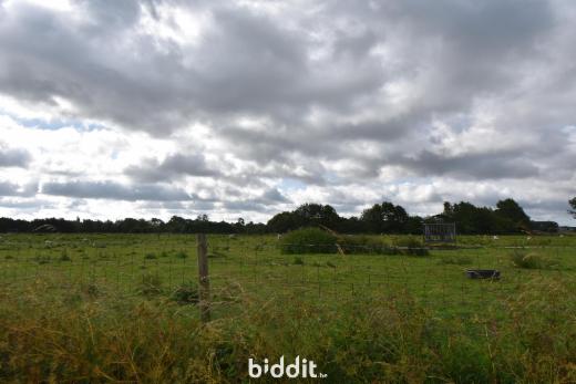 Presentatiebeeld van het pand n° 286704