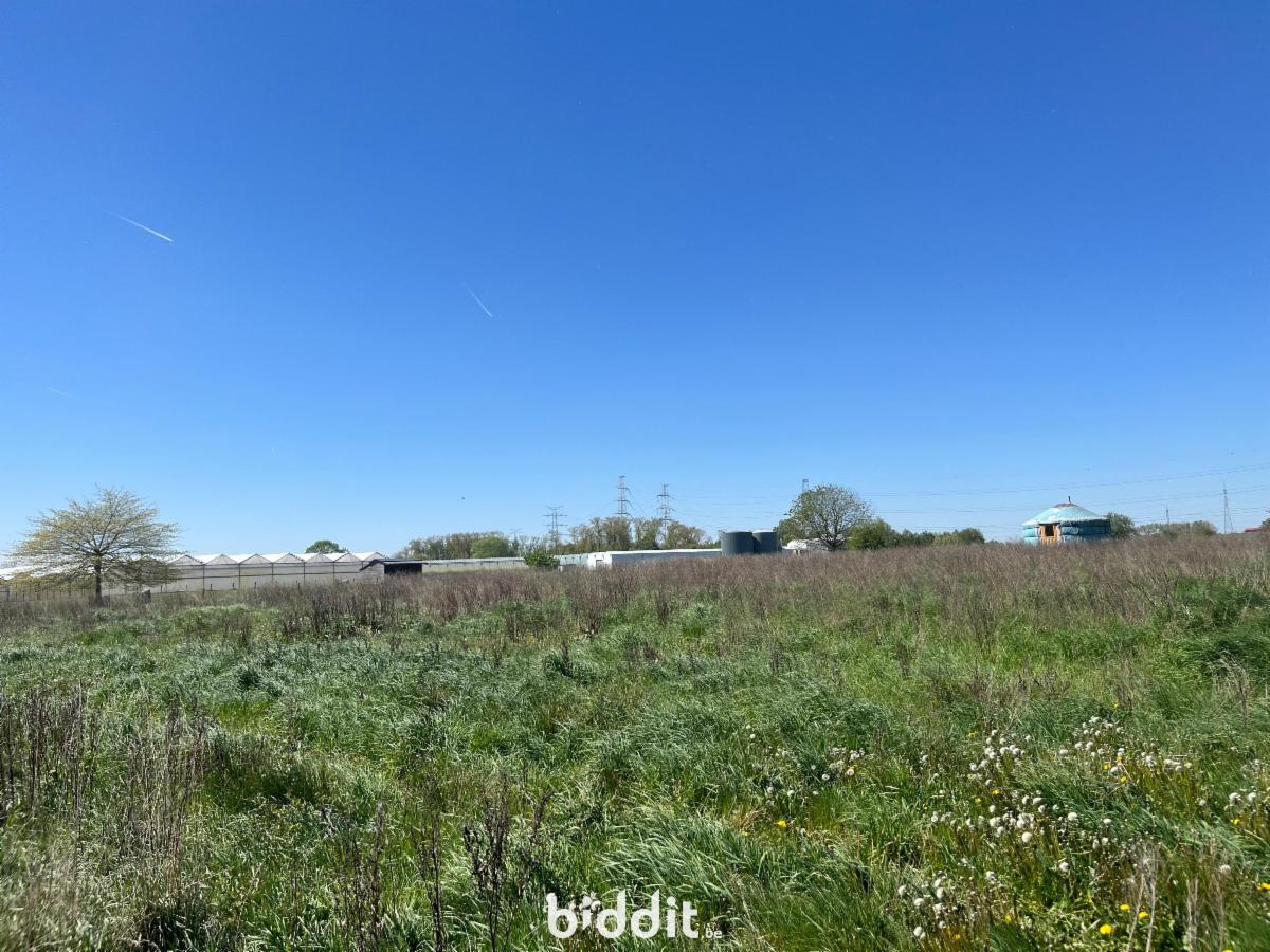 Presentatiebeeld van het pand n° 296145