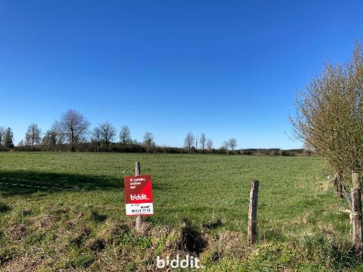 Presentatiebeeld van het pand n° 294625