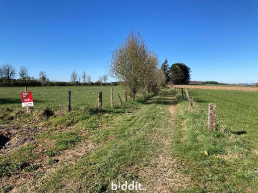 Tweede alternatieve foto van het pand