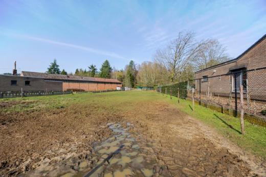 Derde alternatieve foto van het pand