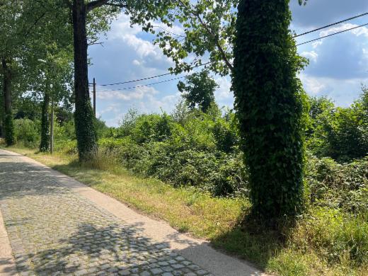Tweede alternatieve foto van het pand