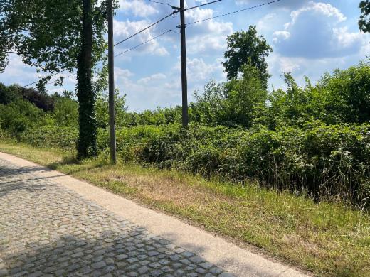 Derde alternatieve foto van het pand