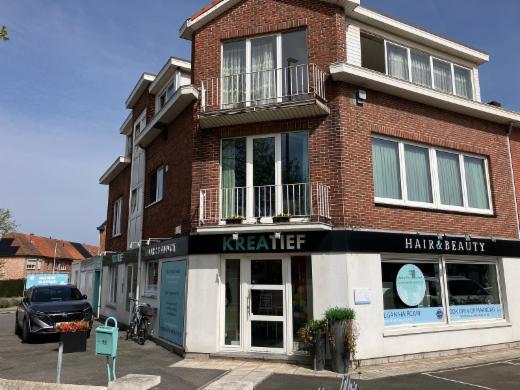 Presentatiebeeld van het pand n° 295462