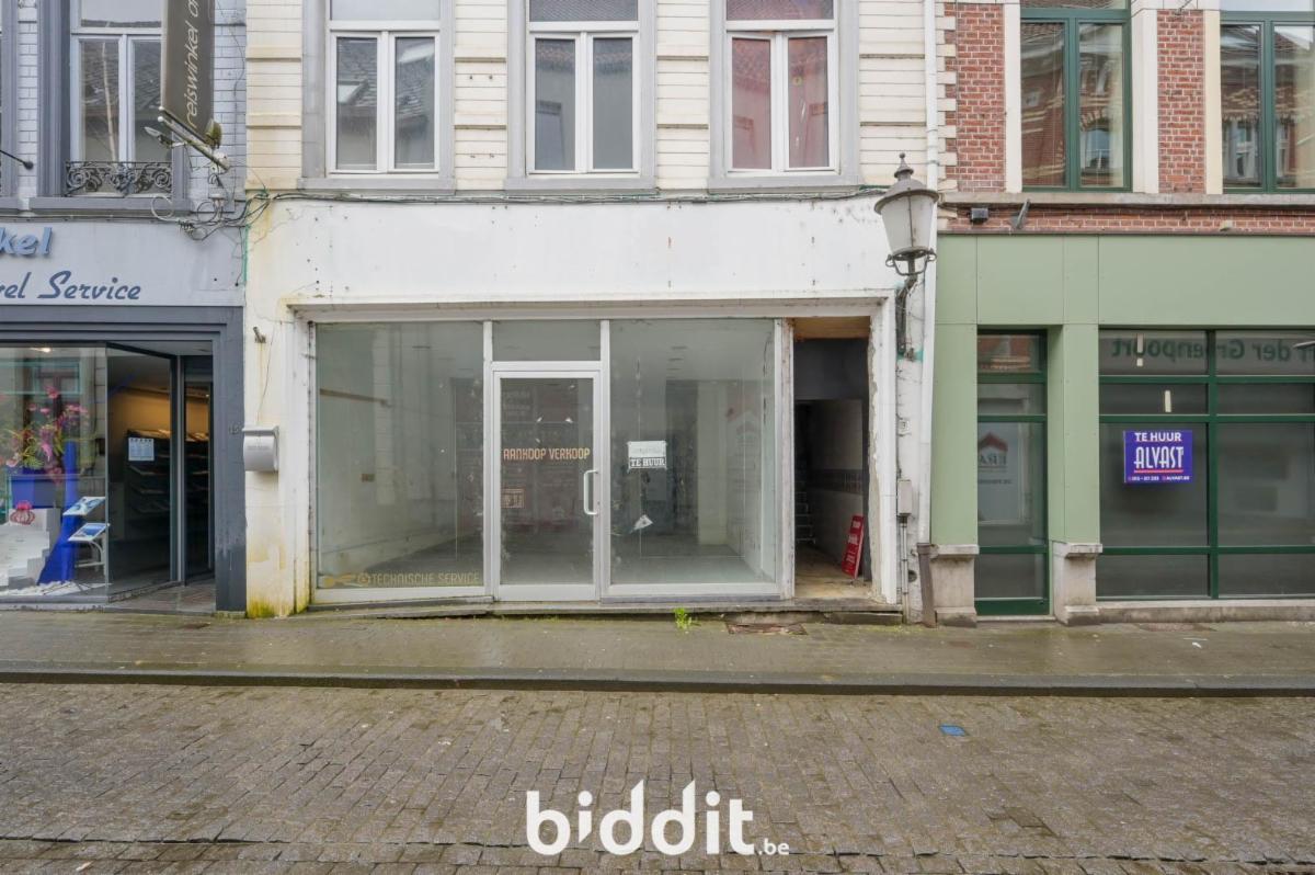 Presentatiebeeld van het pand n° 294655