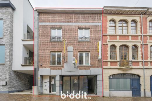 Presentatiebeeld van het pand n° 294661