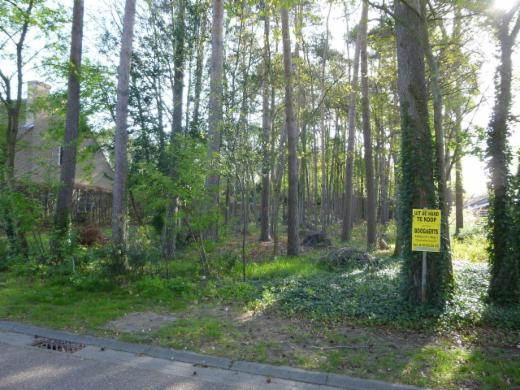 Eerste alternatieve foto van het pand