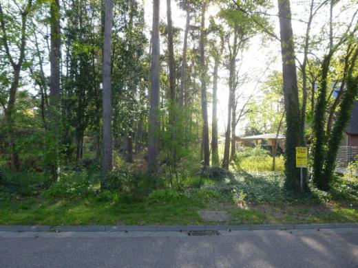 Presentatiebeeld van het pand n° 295745