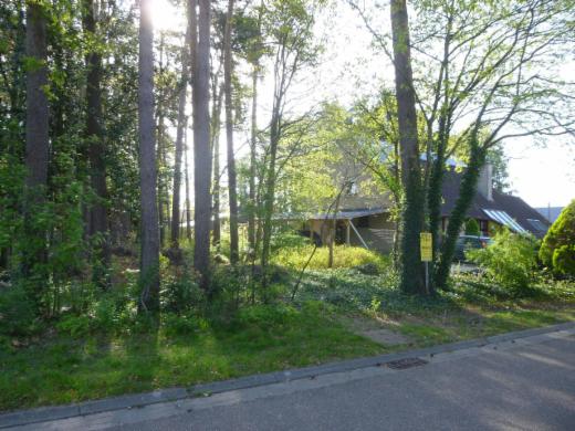 Tweede alternatieve foto van het pand