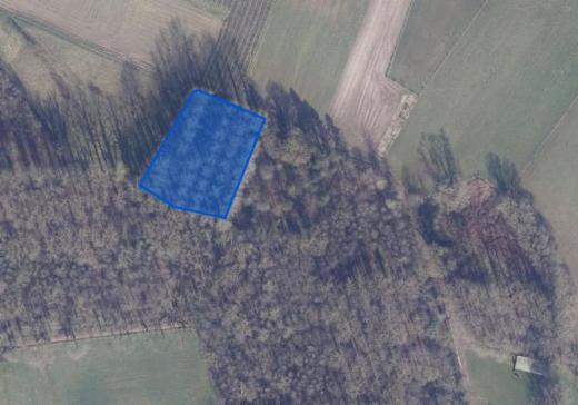 Presentatiebeeld van het pand n° 303494