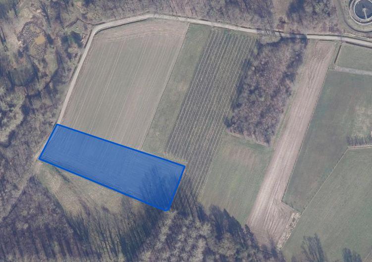 Presentatiebeeld van het pand n° 303495