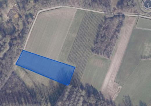 Presentatiebeeld van het pand n° 303495