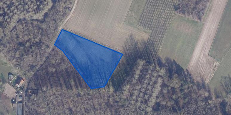 Presentatiebeeld van het pand n° 303496