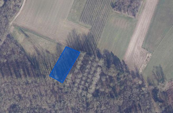 Presentatiebeeld van het pand n° 303497