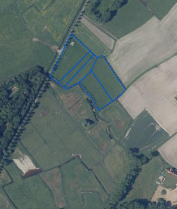 Presentatiebeeld van het pand n° 301310