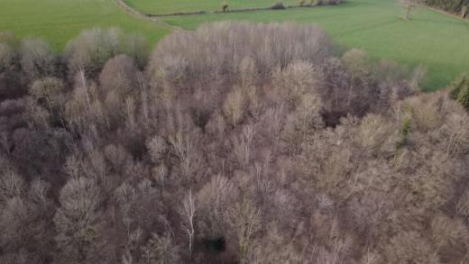 Tweede alternatieve foto van het pand