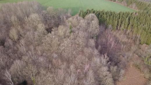 Derde alternatieve foto van het pand