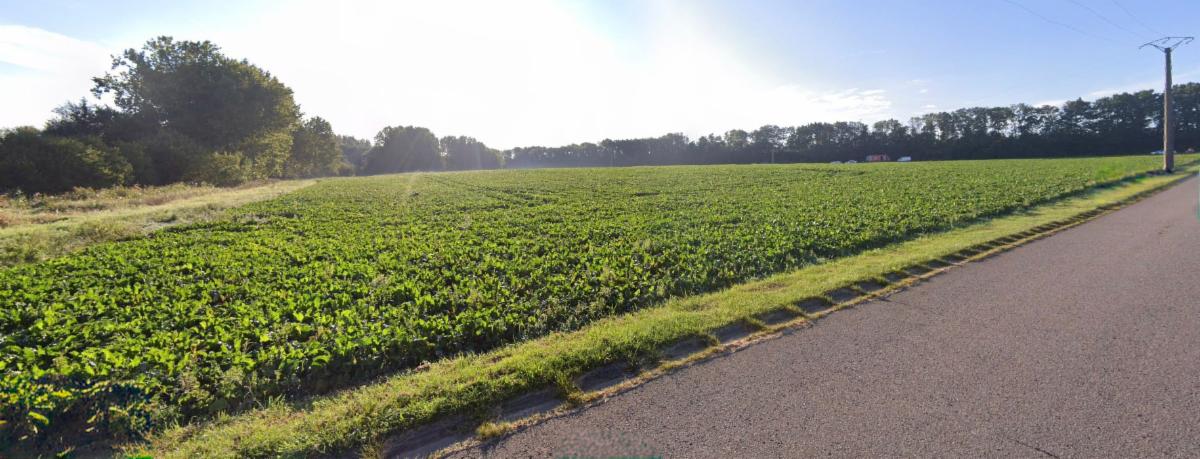 Presentatiebeeld van het pand n° 301745