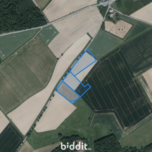 Presentatiebeeld van het pand n° 299449