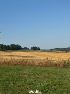 Derde alternatieve foto van het pand