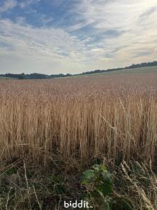 Eerste alternatieve foto van het pand