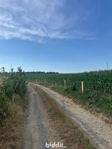 Tweede alternatieve foto van het pand