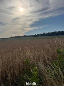 Derde alternatieve foto van het pand