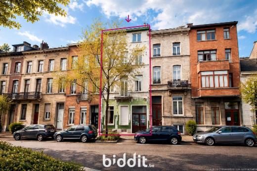 Presentatiebeeld van het pand n° 295166