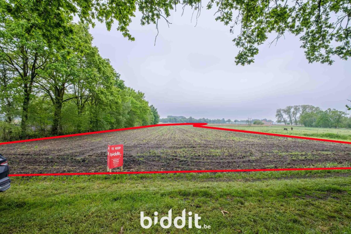 Presentatiebeeld van het pand n° 296755