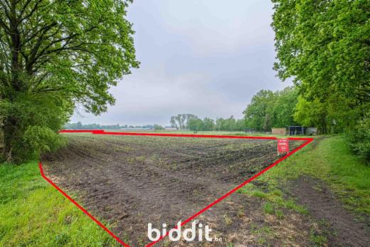Eerste alternatieve foto van het pand