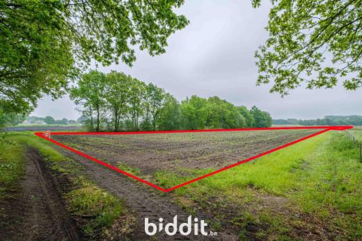 Tweede alternatieve foto van het pand