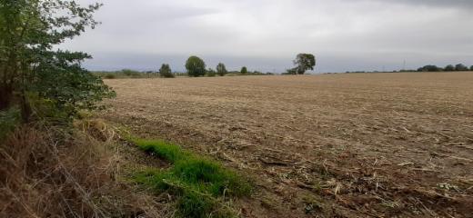 Derde alternatieve foto van het pand