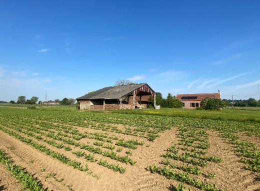 Presentatiebeeld van het pand n° 283479