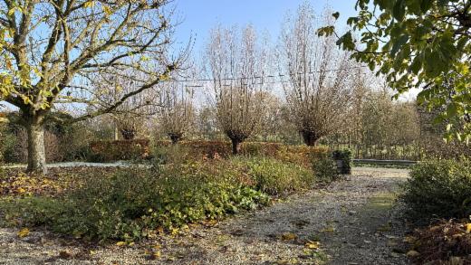 Derde alternatieve foto van het pand