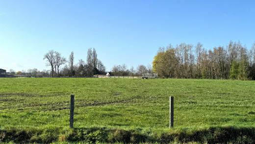 Tweede alternatieve foto van het pand