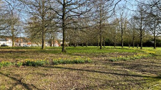 Eerste alternatieve foto van het pand