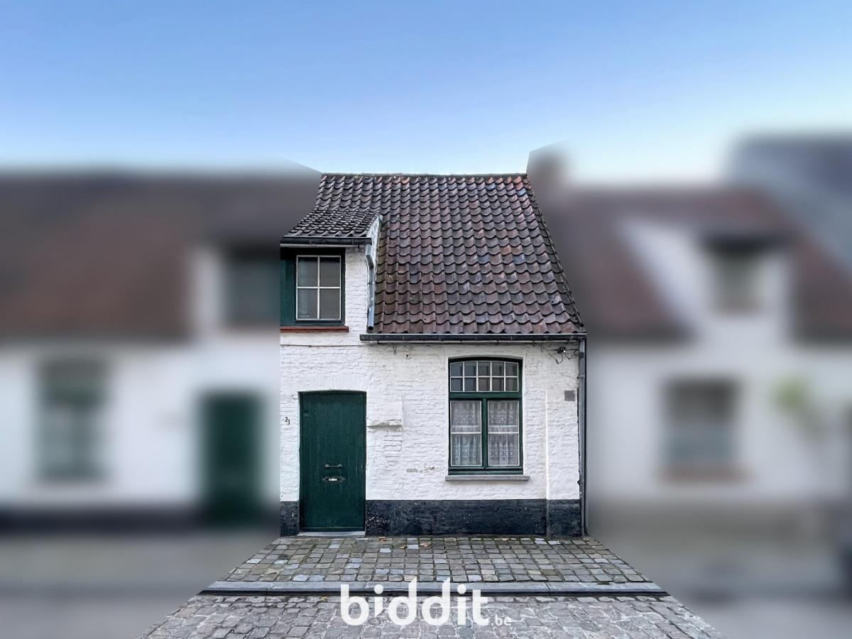 Presentatiebeeld van het pand n° 292964