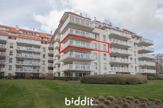 Presentatiebeeld van het pand n° 294281