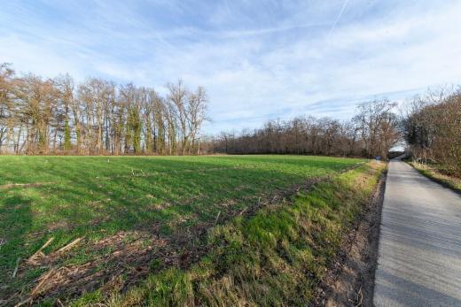 Eerste alternatieve foto van het pand