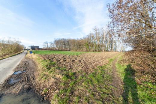 Tweede alternatieve foto van het pand