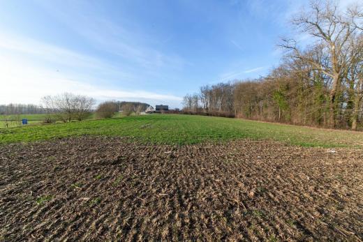 Derde alternatieve foto van het pand