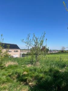 Derde alternatieve foto van het pand